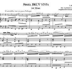 BWV 1019a.3