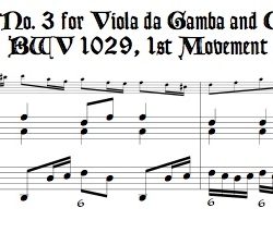 Bach Sonata BWV 1029, transposed to d minor