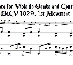 Bach Sonata BWV 1029, transposed to c minor