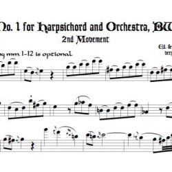 Solo recorder parts for all the items in the Concerto categories. (Not necessary if you get the versions with keyboard.)