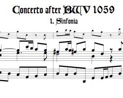 Bach Concerto for Harpsichord and Orchestra BWV 1059