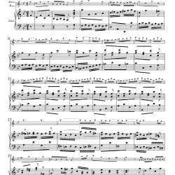 BWV 1060.3