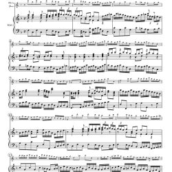 BWV1064Complete