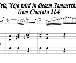 Aria “Wo wird in diesem Jammerthale” from Cantata 114