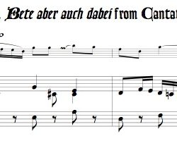 Aria “Bete aber auch dabei” from Cantata 115