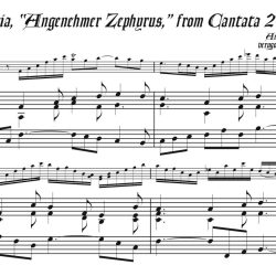 Cantata 205.9 Aria