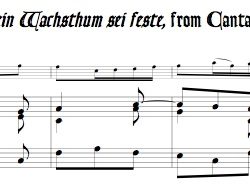 Aria “Dein Wachsthum sei feste” from Cantata 212