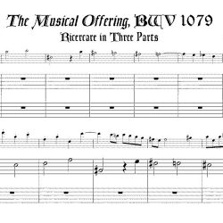 Bach Three-part Ricercare from *Musical Offering*, BWV 1079