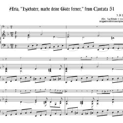 Cantata 51.3 for Bass Recorder & Kbd.