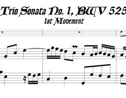Bach Trio Sonata No. 1, BWV 525