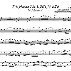 Solo recorder parts for all the items in the Organ categories. (Not necessary if you get the versions with keyboard.)