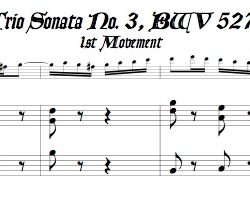 Bach Trio Sonata No. 3, BWV 527