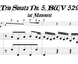 Bach Trio Sonata No. 5, BWV 529