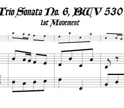 Bach Trio Sonata No. 6, BWV 530