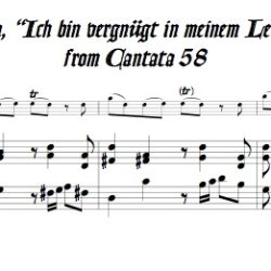 Aria, “Ich bin vergnügt in meinem Leiden,” from Cantata 58