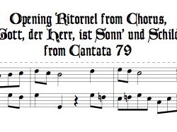 Recorded performance of Duet from Excerpt of Cantata 79