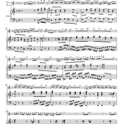 BWV 894