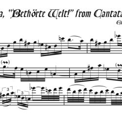 Solo recorder parts from the Cantatas category (not necessary if you get the versions with keyboard.)