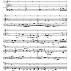 Contrapunctus 2