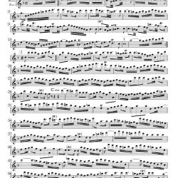 BWV 1066.1 rec. pt.