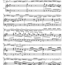 BWV74.5