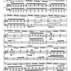 BWV 81.3