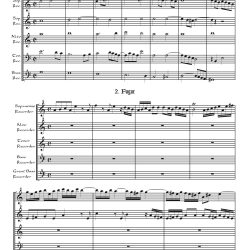Fantasia & Fugue, BWV 904, arr. for recorder quintet