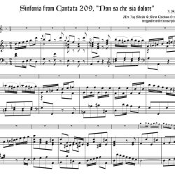 Sinfonia from Cantata 209