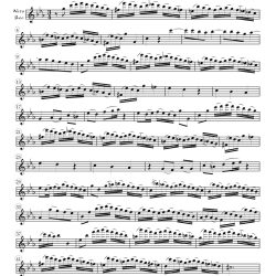 Aria, “Jesu, lass durch Wohl und Weh,” from Cantata 182