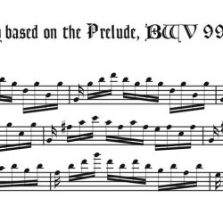 Study based on BWV 999