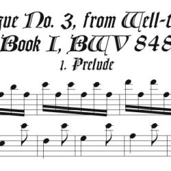 Solo recorder parts for all music in the Well-tempered Clavier and Keyboard Partita categories.  (Not necessary if you get the versions with keyboard.)