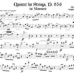 1st Movement from String Quintet, D. 956