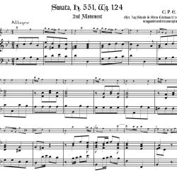 CPEFluteSonComplete