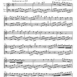 Duet based on an aria (vocal duet) from Cantata 110
