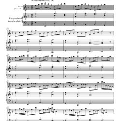 Variations on theme from Cantata 110