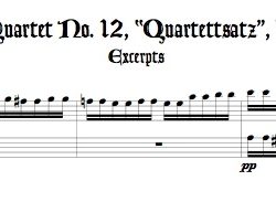 Excerpts from “Quartettsatz”, D. 703, arr. for alto & bass recorders, or for soprano & tenor