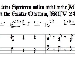 Aria, “Seele, deine Specereien sollen nicht mehr Myrrhen sein”, from the Easter Oratorio, BWV 249