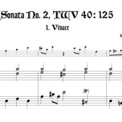 Sonata (Duet) TWV 40:125