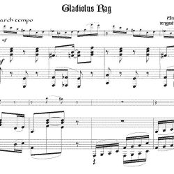 Gladiolus Rag, in two different versions