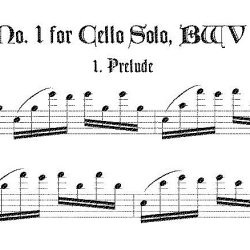 Solo recorder parts for the Solo strings and Lute Music categories. (Not necessary if you get the versions with keyboard.)