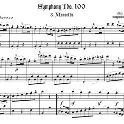 Haydn100.3Duet