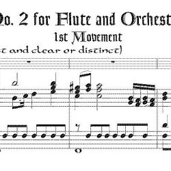 Concerto No. 2 for Flute & Orchestra K.314