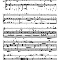 MozartK302