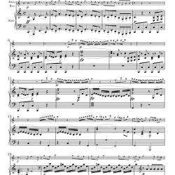 1st movement from Sonata, K. 521