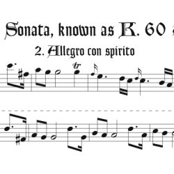 Solo recorder parts from Early Mozart (not necessary if you get the versions with keyboard.)