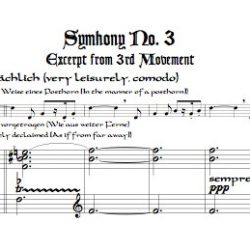 Excerpt from Symphony No. 3 3rd Mvmt. arr. for bass recorder and keyboard