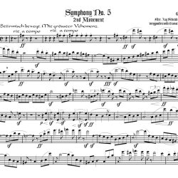 Mahler5Rec.Pts.