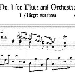 Concerto No. 1 for Flute & Orchestra K.313
