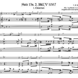 Bm Flute Suite Complete