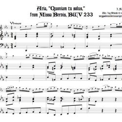 Aria “Quoniam tu solus” from Missa Brevis BWV 233